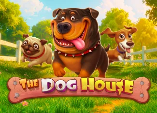 The Dog House 3+ paw scatter (10 free spin) Rehberi